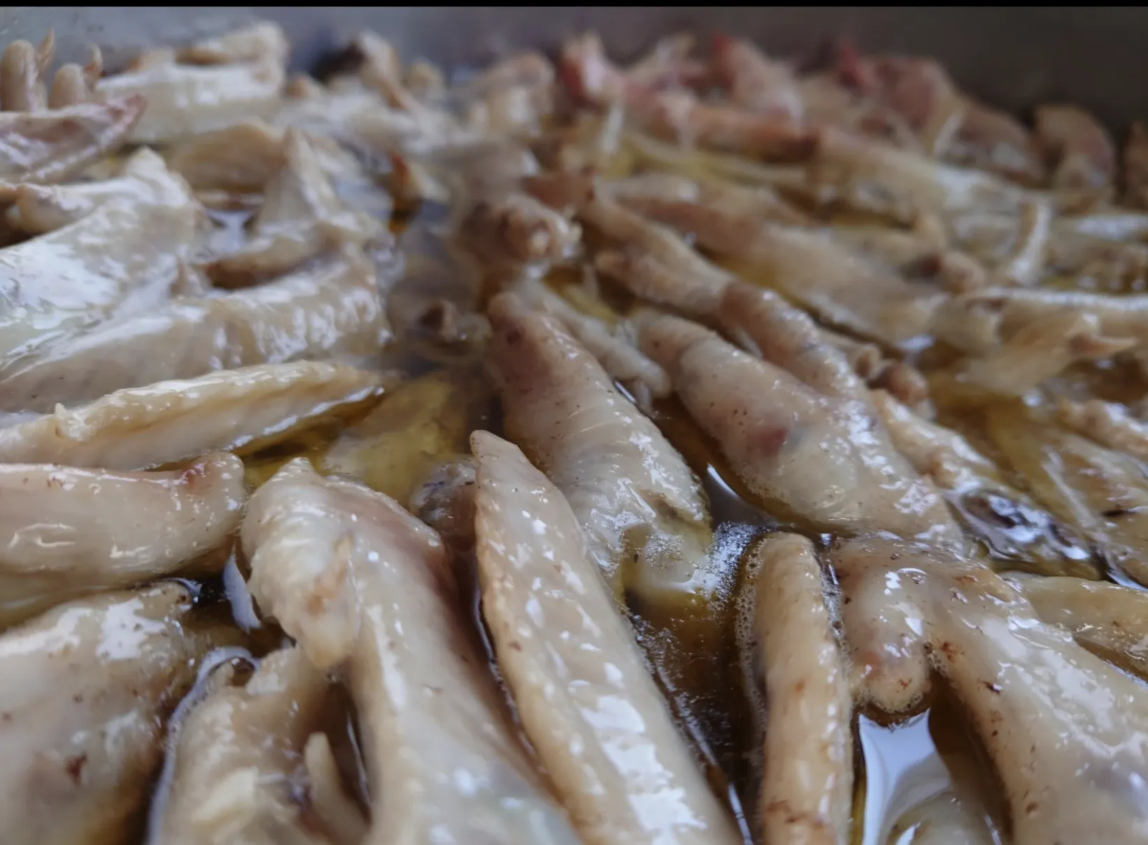 鶏白湯スープのアップ