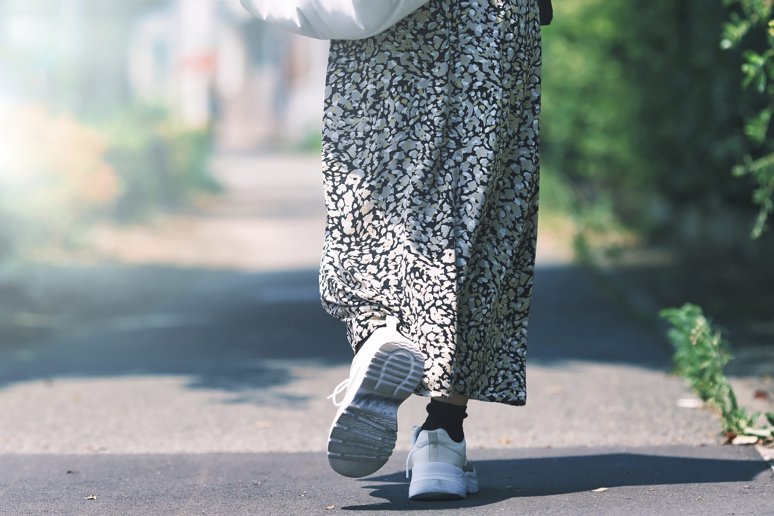 麺道 金獅子へ向かう道